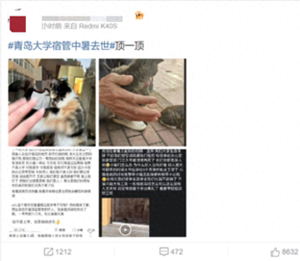 大牛配资 网友发帖称收养流浪猫的宿管大爷疑中暑去世，青岛大学相关部门：事情正调查处理