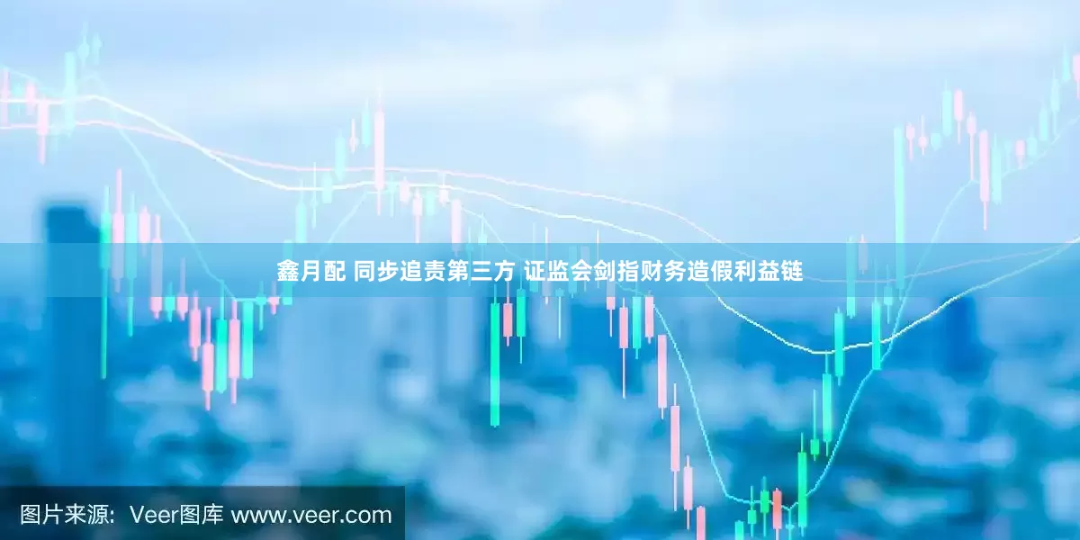 鑫月配 同步追责第三方 证监会剑指财务造假利益链