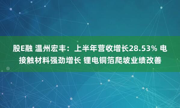 股E融 温州宏丰：上半年营收增长28.53% 电接触材料强劲增长 锂电铜箔爬坡业绩改善