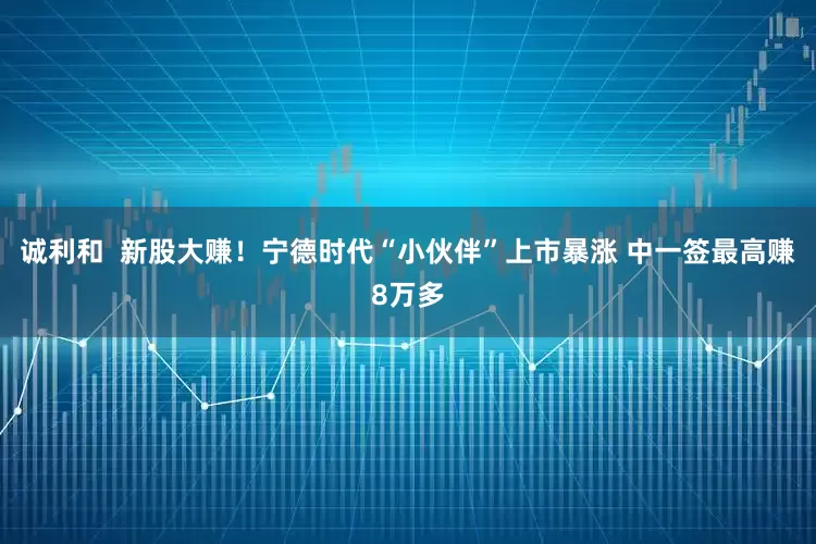 诚利和  新股大赚！宁德时代“小伙伴”上市暴涨 中一签最高赚8万多